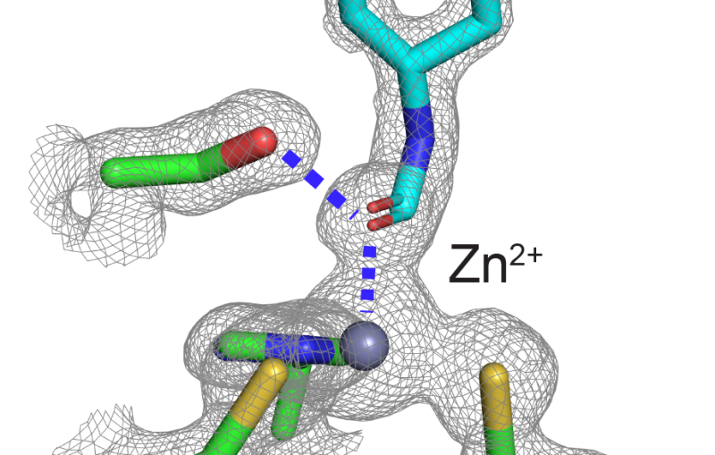 Illustration of an enzyme modified to work 50 times faster 