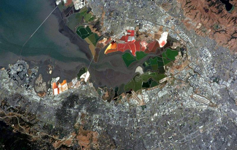 An image of San Francisco Bay salt ponds from space