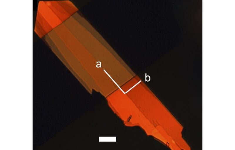 Single crystal of new organic semiconductor shown in polarized light (Image by Anatoliy Sokolov.)