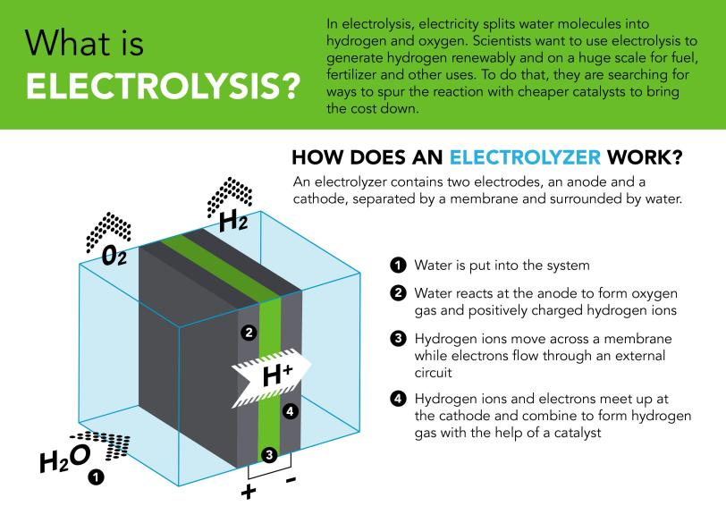 Graphic explaining how an electrolyzer works
