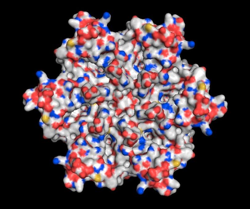 Computer-generated image of hexagon-shaped protein structure