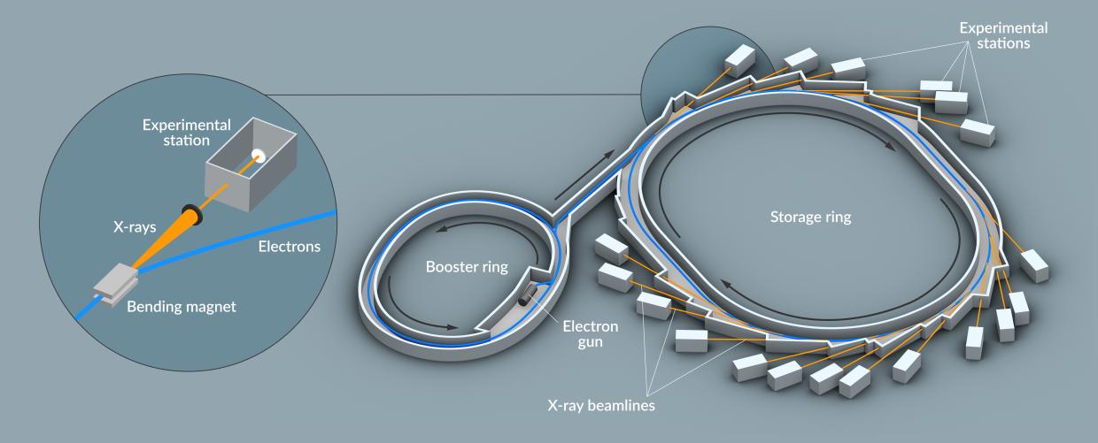 This illustration depicts the basic components of a synchrotron light source, such as SSRL at SLAC.