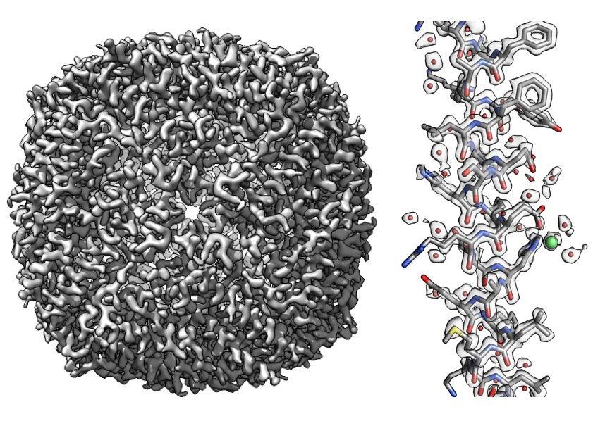 An overall image of the apoferritin molecule (left) and a small section (right)