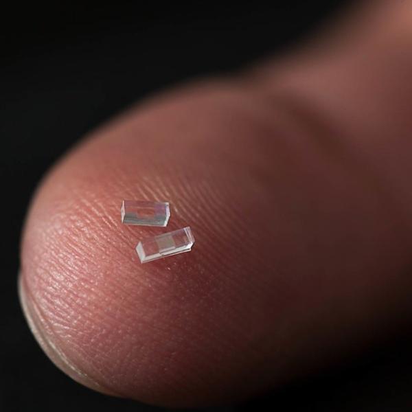 Photo of two accelerator chips on the tip of a finger