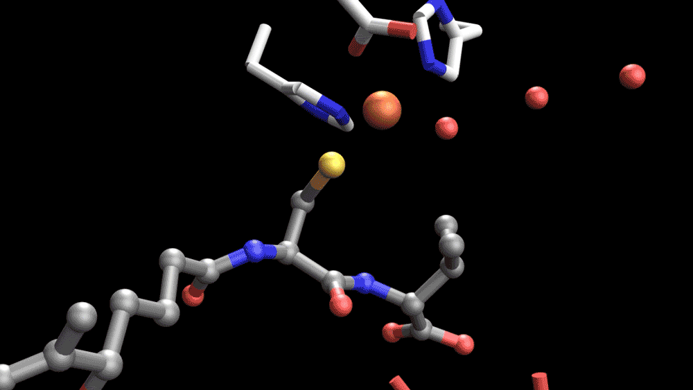 Animated molecular movie of molecules shown as stick figures.