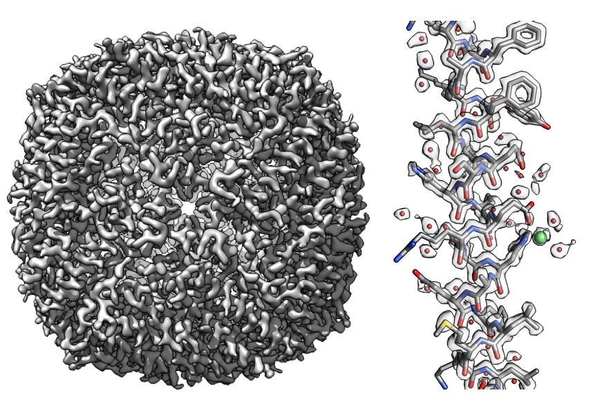 Atom or noise? New method helps cryo-EM researchers tell the
