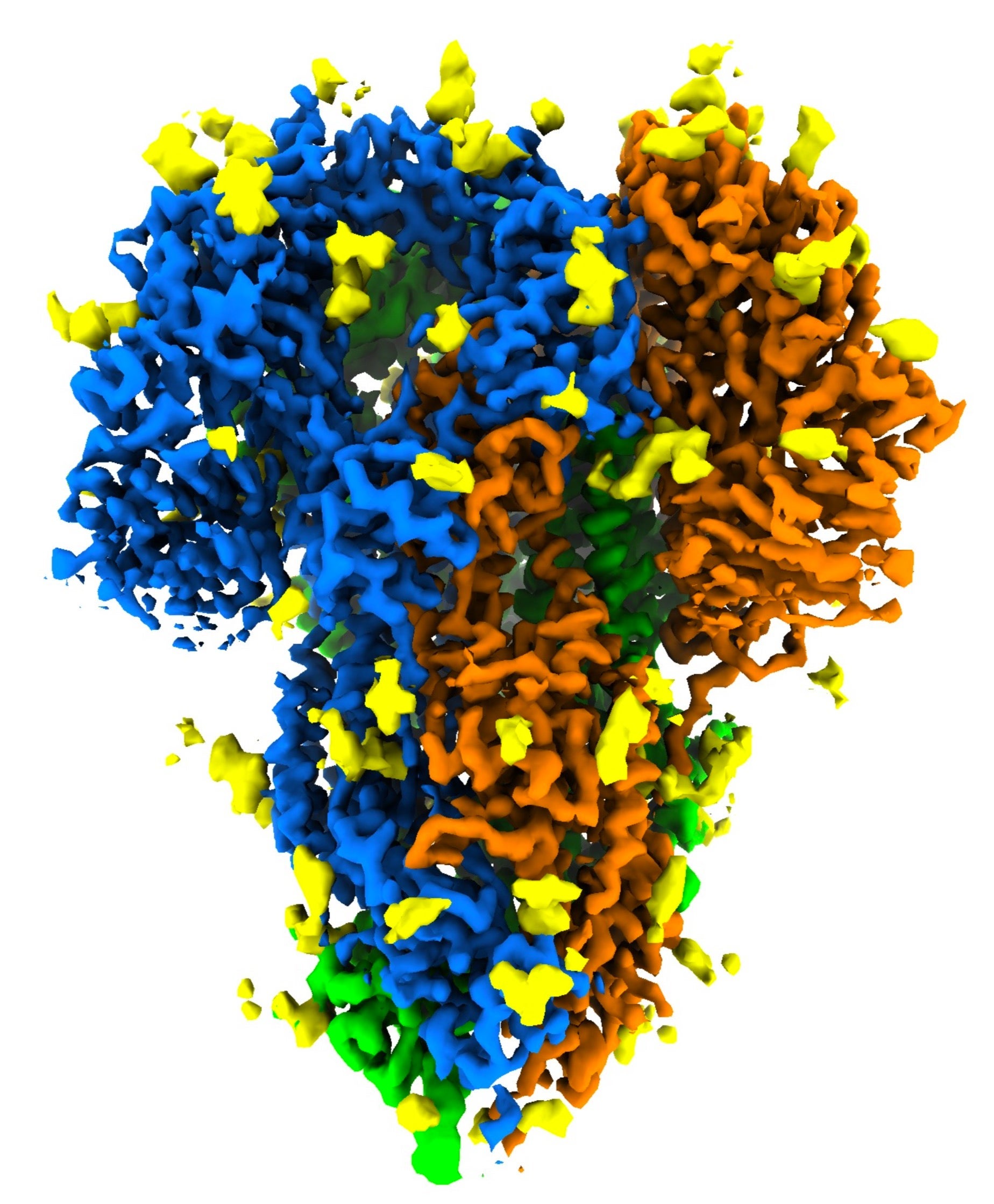 Rendering of coronavirus spike’s protein structure