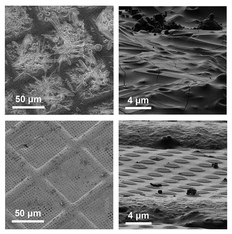 Four cryo-EM images of a sample grid containing thin films of electrolyte show that the samples are much more accessible after excess electrolyte are blotted away.