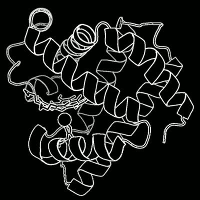Protein Quake