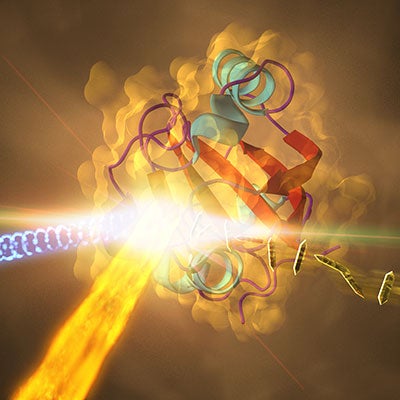 Bacterial Sensor