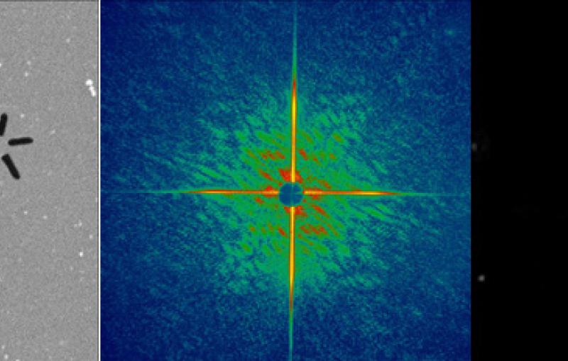 Researchers zapped the sample (left) with a single, 25 femtosecond pulse from the DESY soft x-ray free-electron laser