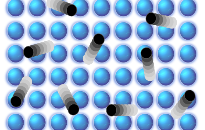 Black spheres travel across a grid of blue spheres.