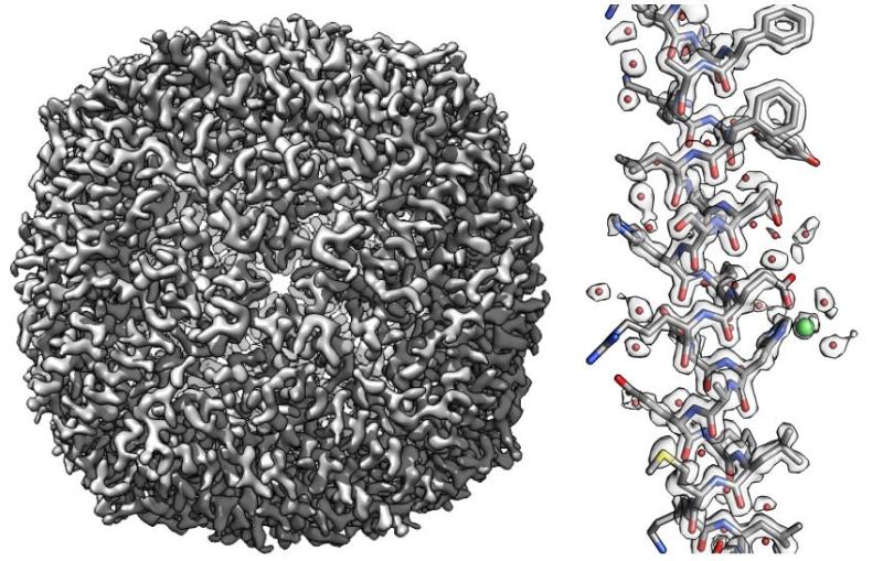 An overall image of the apoferritin molecule (left) and a small section (right)