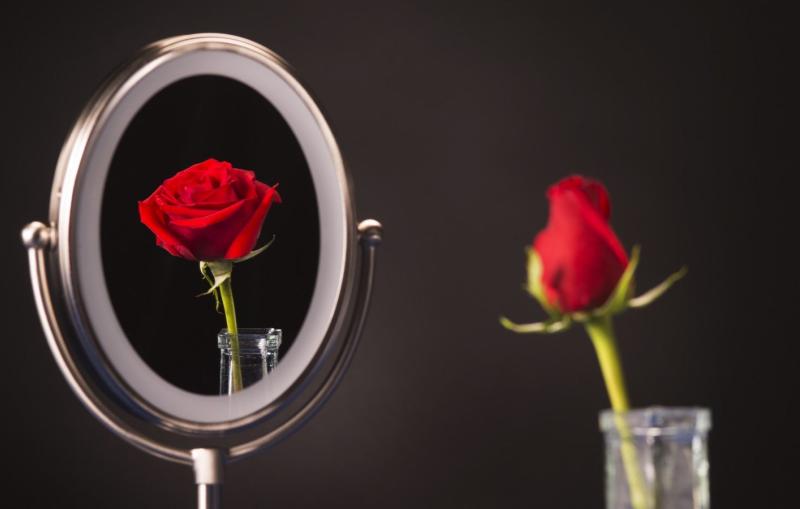 Photo of closed rose. In mirror it is open.