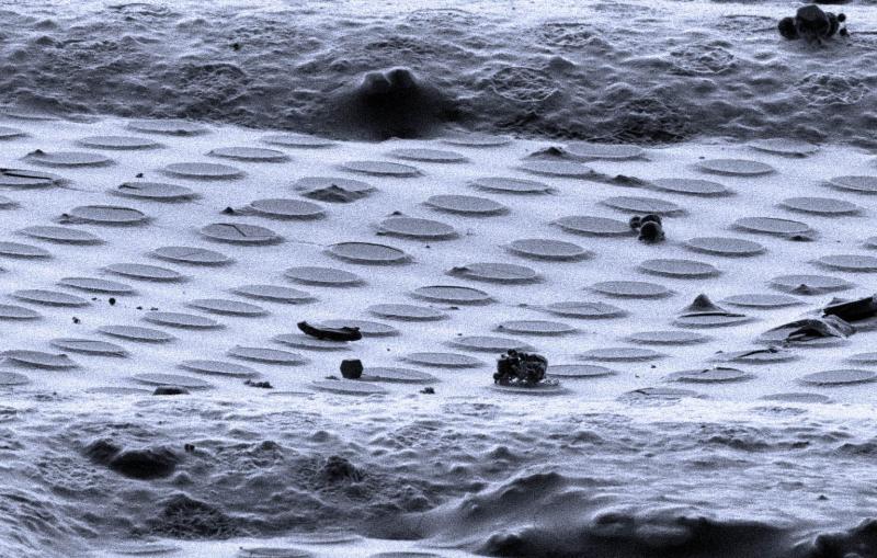 A battery's liquid electrolyte clings to small holes in a cryo-EM sample holder. 