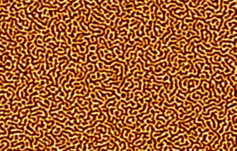 Image - Maze-like magnetic structure imaged by magnetic-force microscope