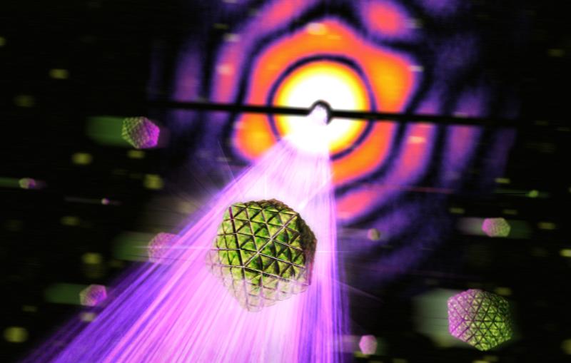 Image - A geometric structure from a bacterial cell, called a carboxysome, is struck by an X-ray pulse (purple) at SLAC’s Linac Coherent Light Source. (SLAC National Accelerator Laboratory)