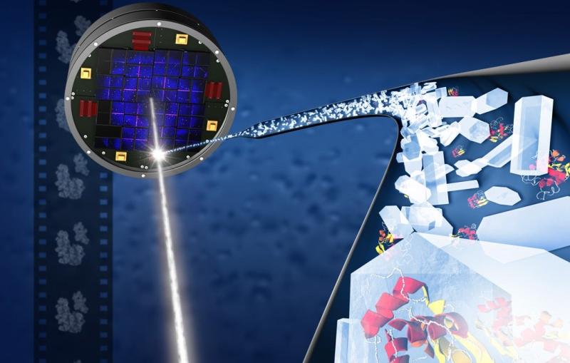 This illustration shows Tiny crystallized biomolecules in a liquid solution (right) are streamed into X-ray laser pulses (shown as a white beam) in this illustration of crystallography at SLAC's Linac Coherent Light Source X-ray laser.