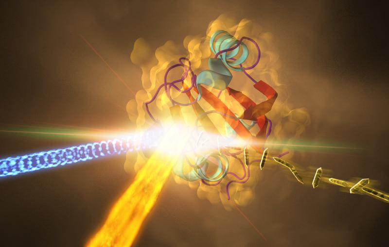 Image - This illustration depicts an experiment at SLAC that revealed how a protein from photosynthetic bacteria changes shape in response to light. 