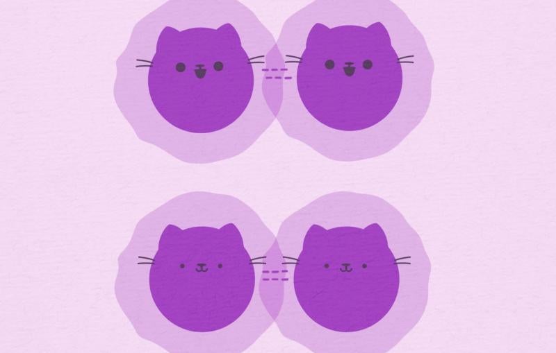 Illustration of a molecule splitting into two Schroedinger's Cat states 