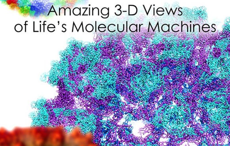 Public Lecture poster titled Cryo-EM: Amazing 3D Views of Life’s Molecular Machines