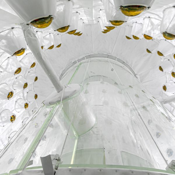 Looking up into the LZ outer detector, used to veto radioactivity that can mimic a dark matter signal.