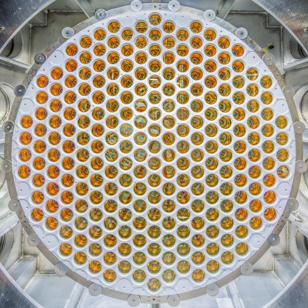 Photomultiplier tubes inside the LZ detector are designed to capture faint flashes of light that could signal a dark matter interaction.