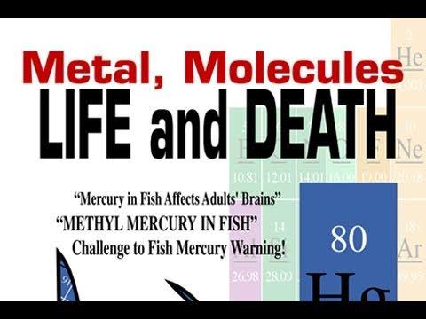 Public Lecture | Metals, Molecules, Life and Death