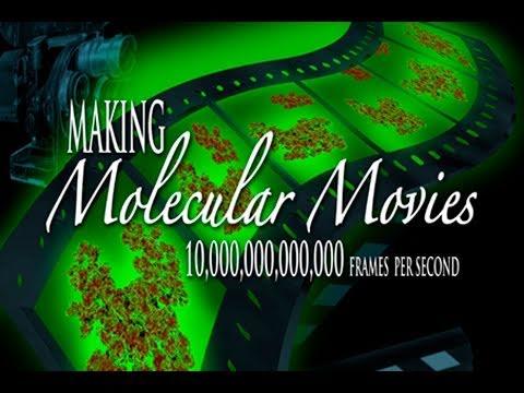 Public Lecture | Making Molecular Movies: 10,000,000,000,000 Frames per Second