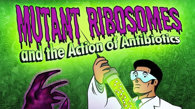 Public Lecture | Mutant Ribosomes and the Action of Antibiotics