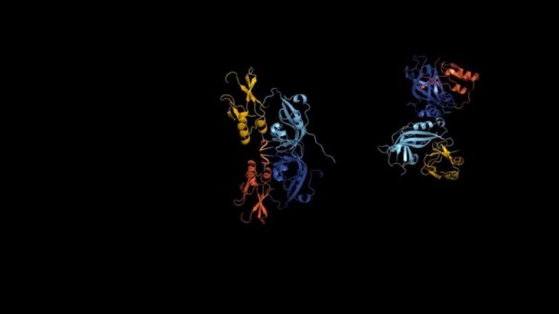 Fighting Ebola Virus Disease: 'Transformer' Protein Provides New Insights |  SLAC National Accelerator Laboratory