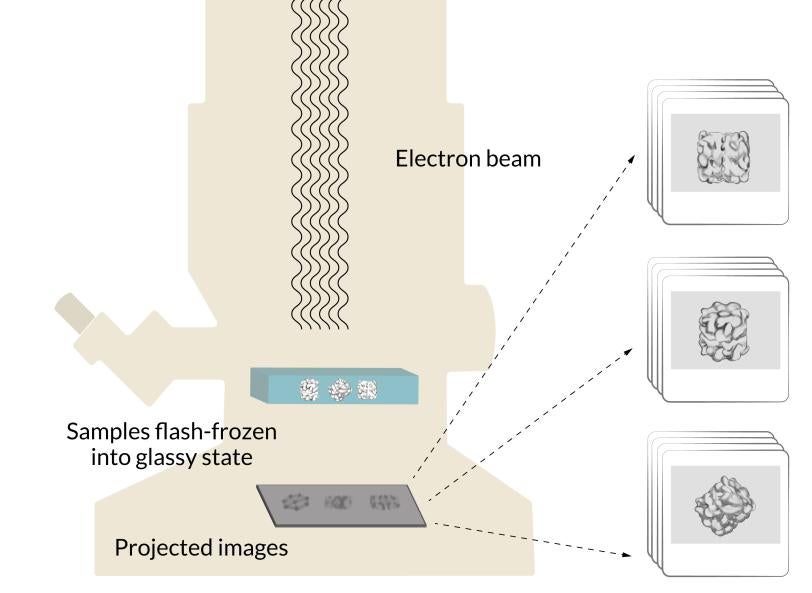Electron beam, samples flash-frozen into glassy state and projected images