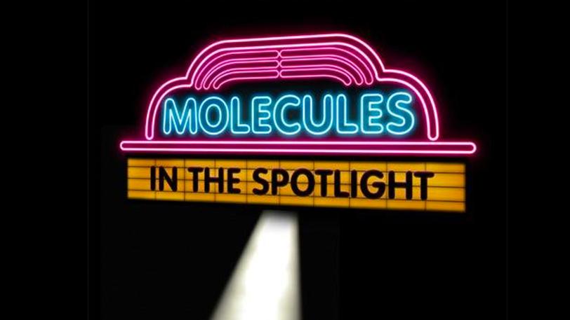 Public Lecture—Molecules in the Spotlight
