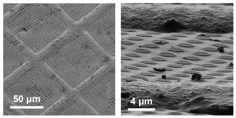 A battery’s liquid electrolyte clings to small holes (right) within the grid of a cryo-EM sample holder (left)