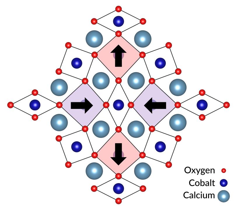 A graphic shows how the atomic structure of a new quantum material is distorted by electronic forces between cobalt ions (dark blue) and oppositely charged calcium ions (light blue). This pushes the atoms closer together in two directions and pulls them apart in two other directions, resulting in a herringbone-like structure.