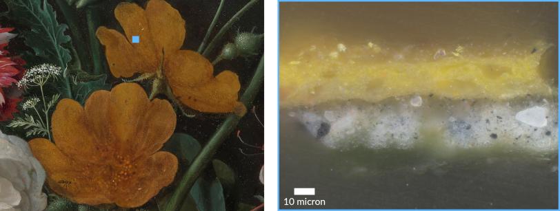 The image on the left shows the yellow roses that are fading to white due to a color degradation pathway caused by humidity. The image has a blue dot. The blue dot is the location at which researchers took a paint sample. The image on the right is a cross section of the paint sample. The cross section shows the various materials within the painting.