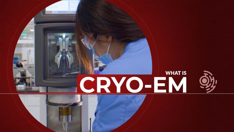 Stillframe of Cryo-EM explainer video