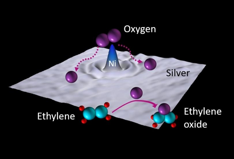 An illustration of purple balls (oxygen) gather near a nickel atom embedded in a sheet of silver.