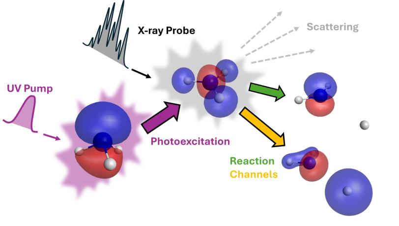 This graphic shows how an ultraviolet pump laser photoexcites an ammonia molecule, driving both electronic and nuclear rearrangement.