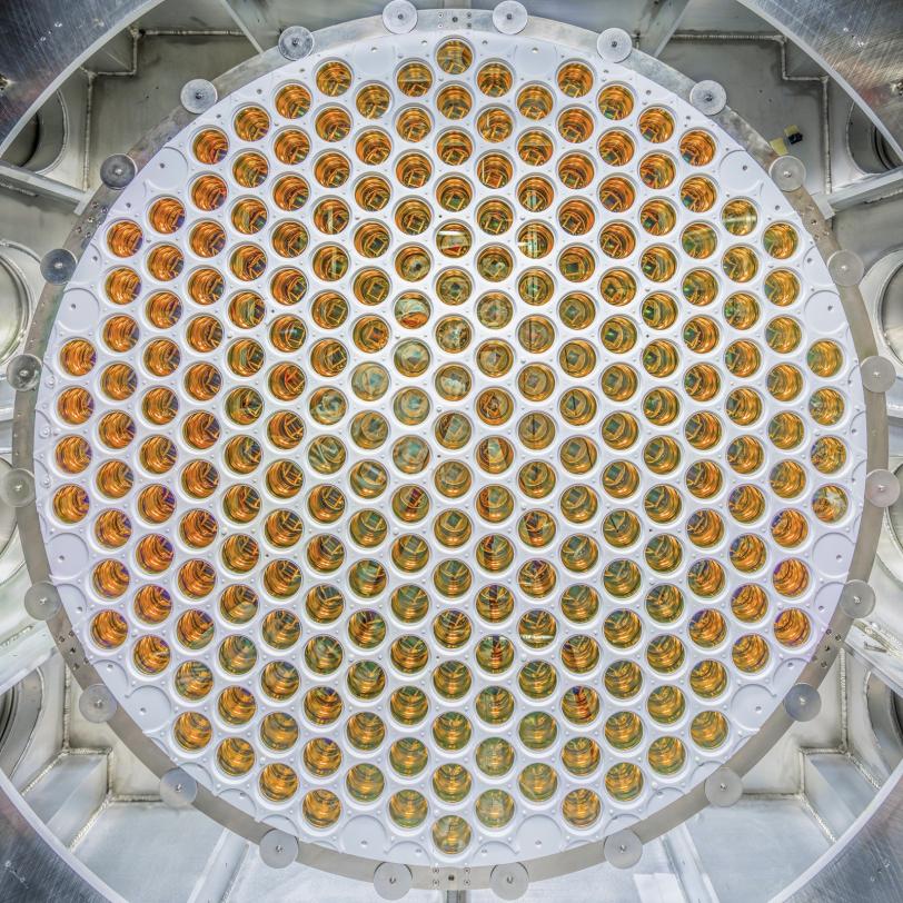 Photo of the array of photomultiplier tubes in the LZ experiment