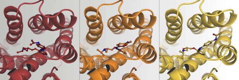 Scientific figure representing changes to a protein receptor