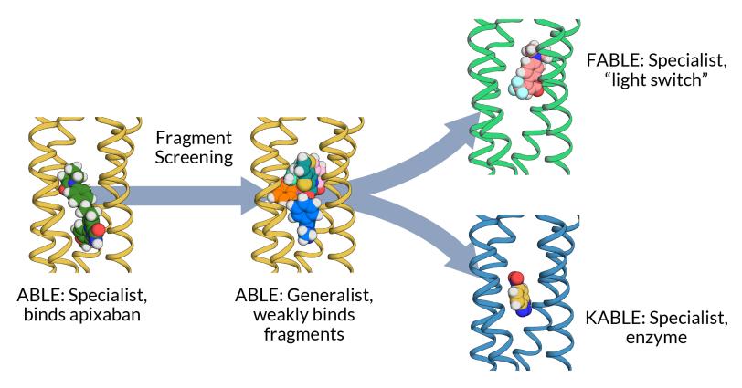 Illustration of designed proteins