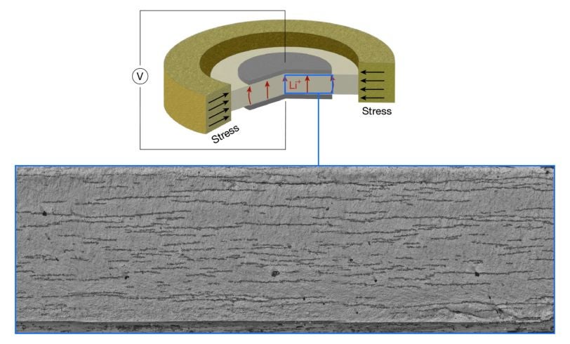 Diagram showing a cut-away section of a battery as a tan-colored, cake-shaped object.