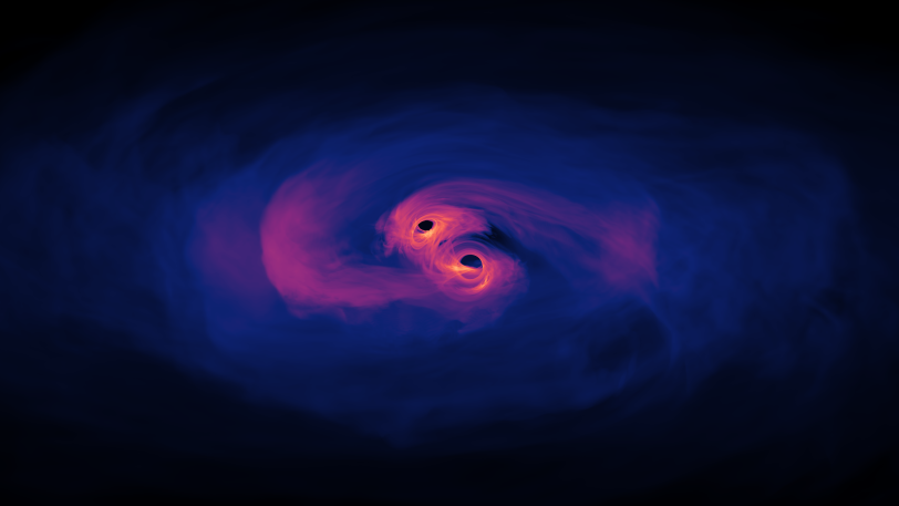 Two black holes shown as purple disks circulating around each other against a black background.