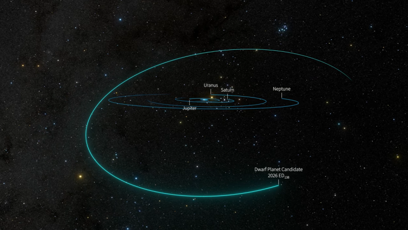 Stillframe of animated model of the Solar System showing the orbital pathway of newly discovered dwarf planet candidate 2026 ED138