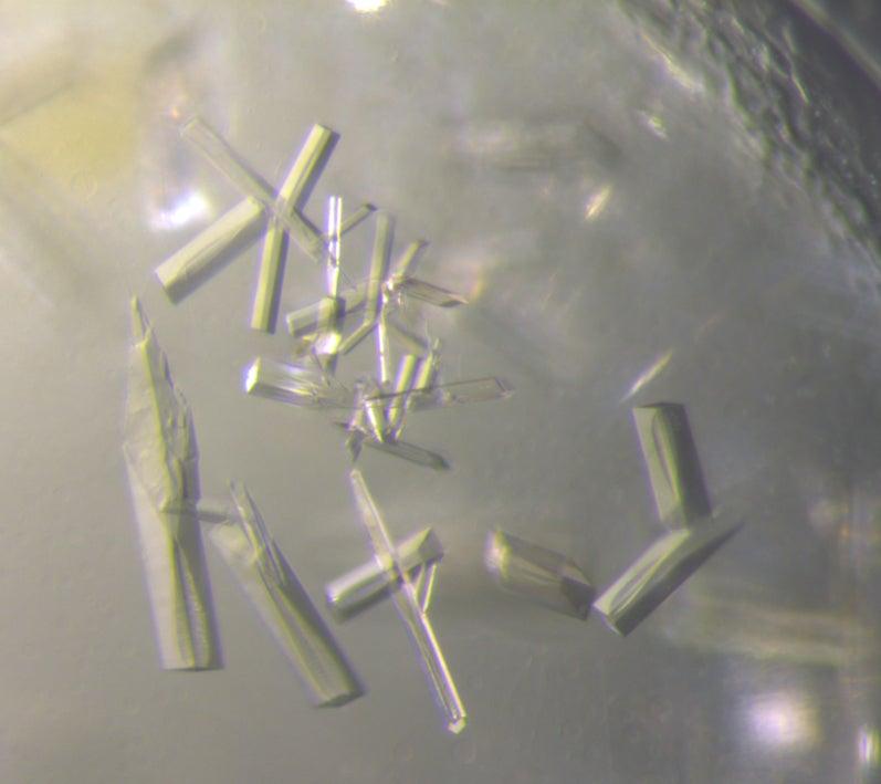 Crystals of the soil virus AMG product (chitosanase) at 400x magnification.