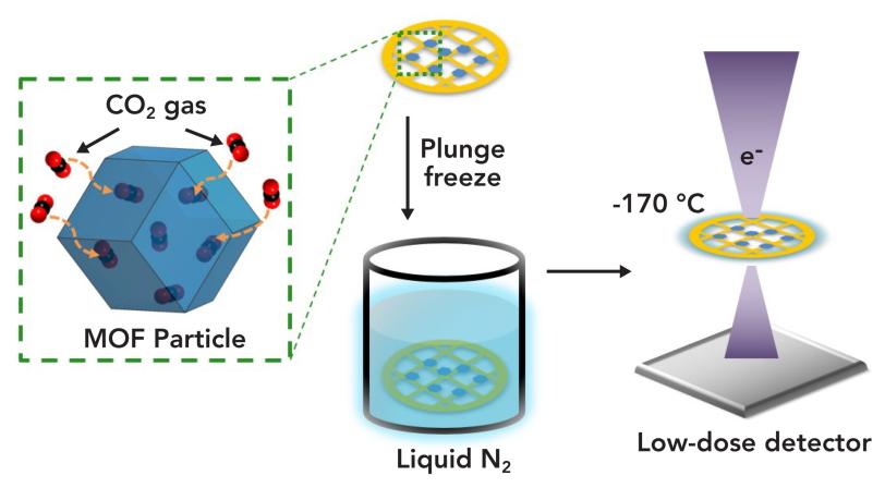 Illustration of experimental cryo-EM setup 