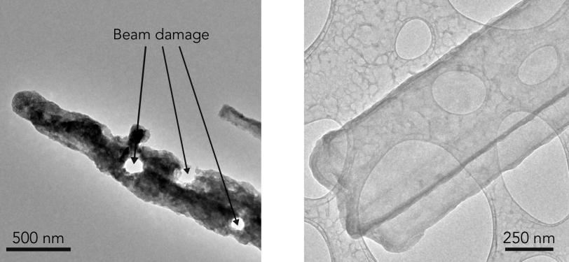 Images of dendrites taken with TEM vs cryo-EM