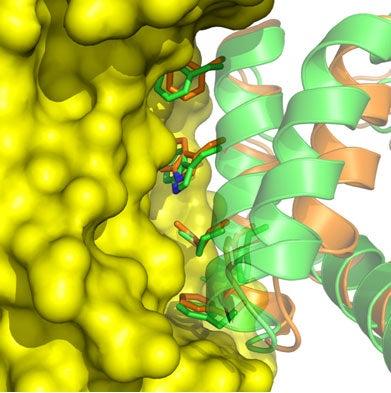 Computer generated image of protein bound to flu virus