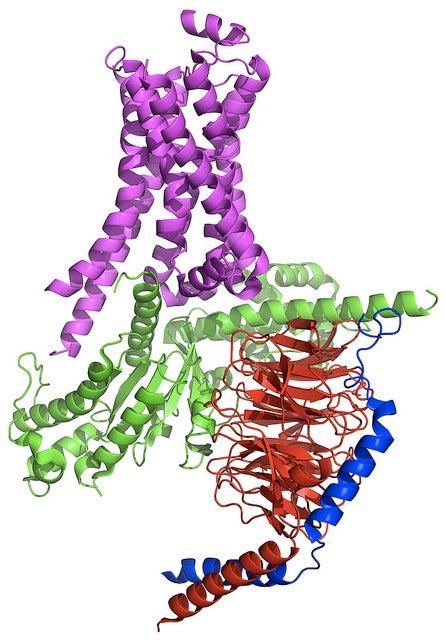 Image - Graphic illustration of tangled spiral protein signaling complex